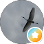 Morgan Avatar